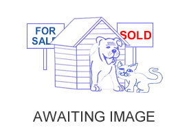 Awaiting Images for /